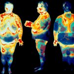 Body fat supports your health in surprisingly complex ways