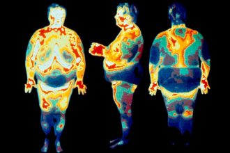 Body fat supports your health in surprisingly complex ways