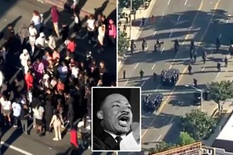 Brawl breaks out at LA’s MLK Day Parade, person possibly stabbed