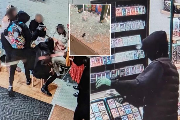 Brazen trio robs NYC Pokémon shop of 0K in rare trading cards during neighborhood gathering