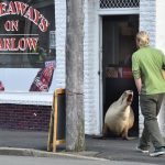Busy mum pops in for takeaway