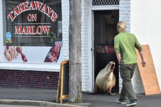 Busy mum pops in for takeaway