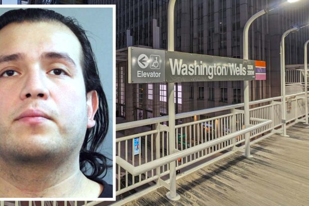 CTA murder: Good Samaritan’s gun taken, used to kill man he tried to save