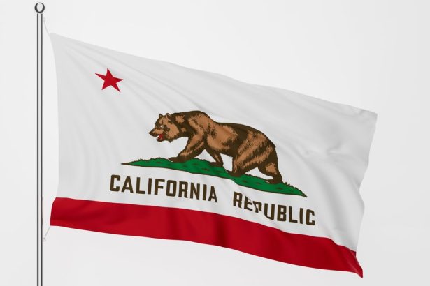 California Ban On Openly Carrying Guns Is Unconstitutional, Court Rules