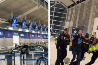 Car Crashes Into Terminal at Detroit Airport In Crazy Video
