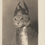 ‘Cats’ Is a Purr-fect Celebration of Felines in Art Throughout the Centuries — Colossal