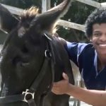 Cause of death announced for veterinary student found dead near Wicker Park last month