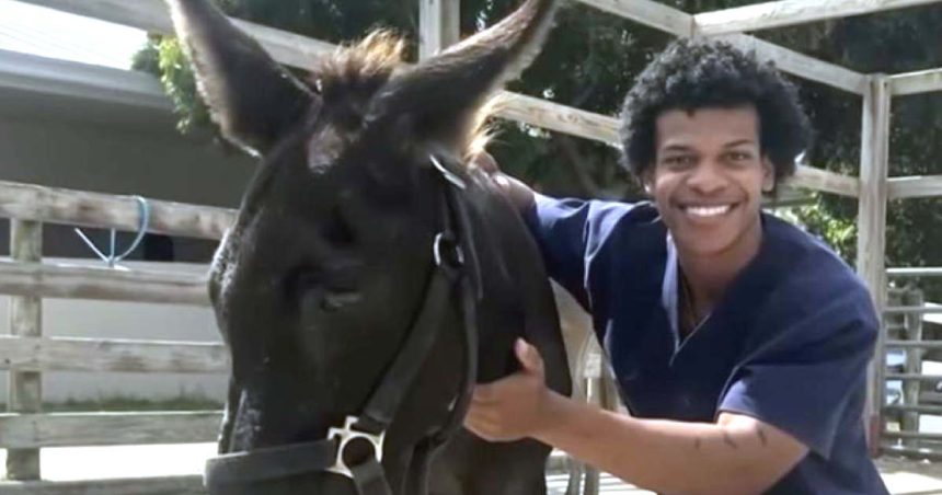 Cause of death announced for veterinary student found dead near Wicker Park last month