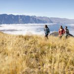 Christchurch visitor numbers growing | Star News