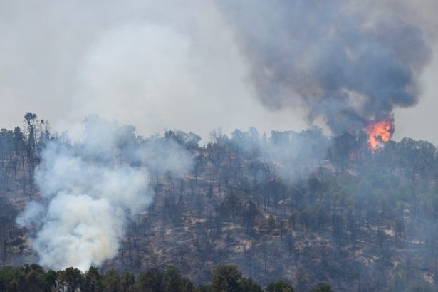 Colorado members of Congress ask for disaster relief, supporting appeal