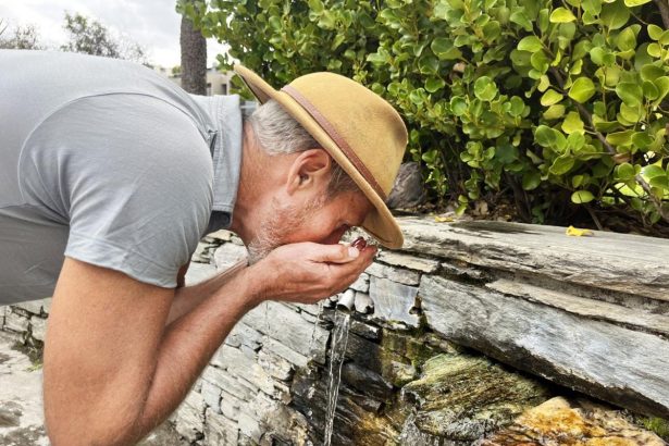 Community called on to help spring renovations