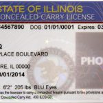 Concealed carry holder shoots armed robber, cops follow blood trail to suspect’s home