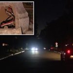 Copper wire thieves costing LA well over seven figures