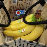 Cost of new food pyramid tested by economists. Results are mixed