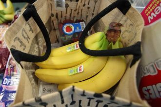 Cost of new food pyramid tested by economists. Results are mixed