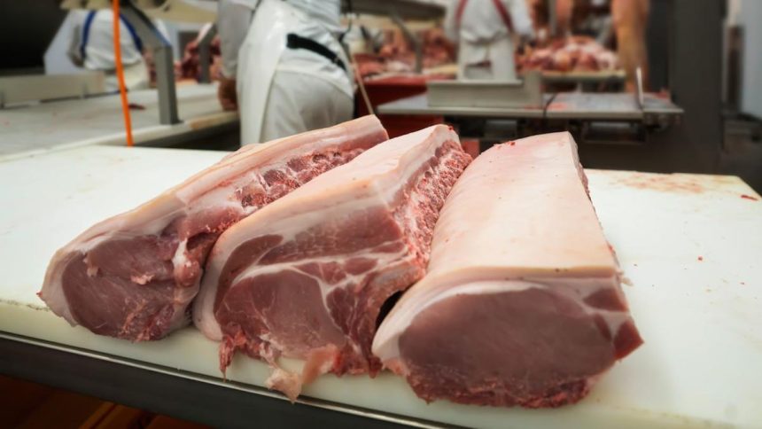 Danish Crown eyes Asia markets with new pork facility