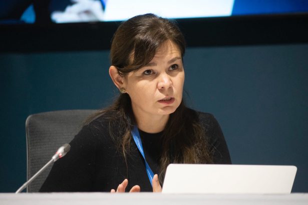 Daria Egereva fought for Indigenous voices at the U.N. Now she’s in a Russian jail.