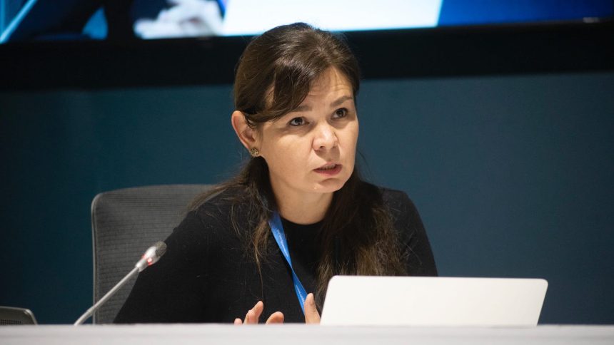Daria Egereva fought for Indigenous voices at the U.N. Now she’s in a Russian jail.