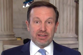 Democrats Plan To Mass Fire Trump’s ICE Agents