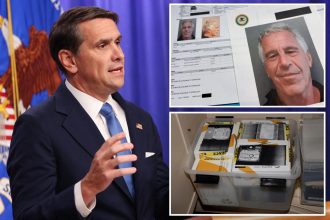 Deputy AG Todd Blanche says DOJ releasing 3.5 million Epstein files