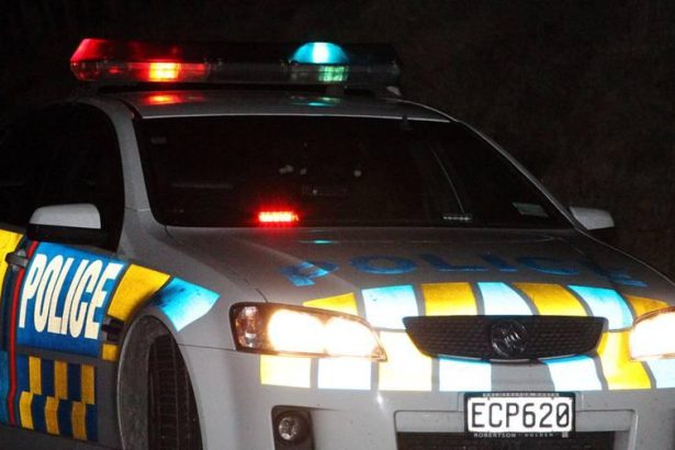 Driver dies in fiery crash, ‘courageous’ efforts save trapped passengers