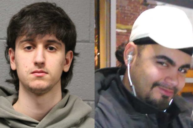 Driver gets probation for crash that killed pedestrian in West Rogers Park