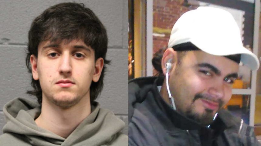 Driver gets probation for crash that killed pedestrian in West Rogers Park