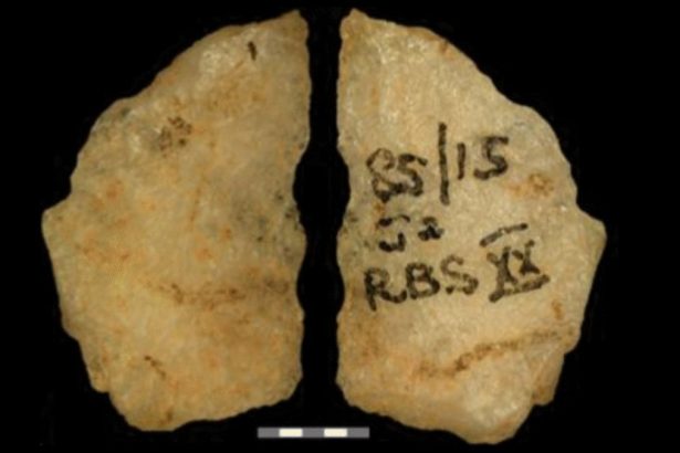 Earliest Direct Evidence of Poisoned Arrows Revealed in 60,000-Year-Old Relics : ScienceAlert