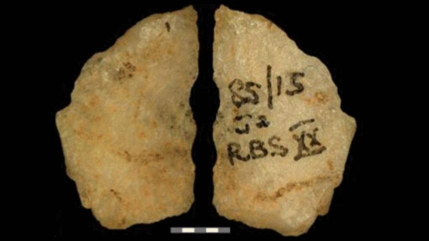 Earliest Direct Evidence of Poisoned Arrows Revealed in 60,000-Year-Old Relics : ScienceAlert