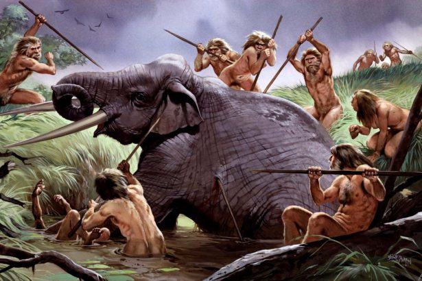 Early humans may have begun butchering elephants 1.8 million years ago