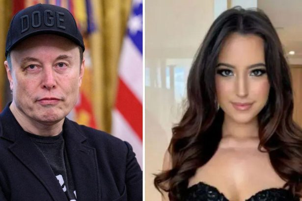 Elon Musk Wants ‘Full Custody’ of Son After Ashley St. Clair Trans Comments
