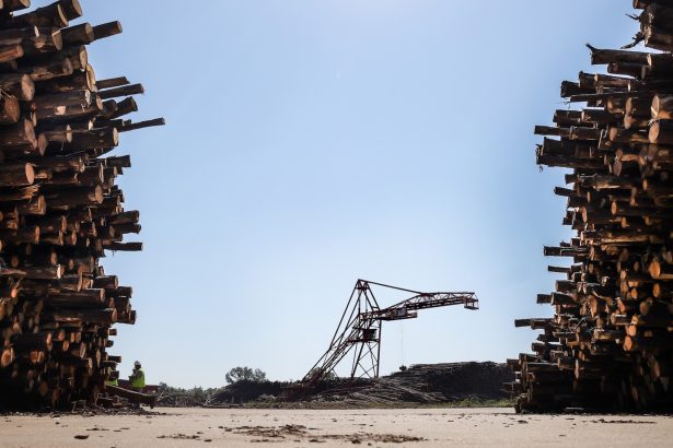 Europe gets ‘green energy.’ These Southern towns get dirty air.