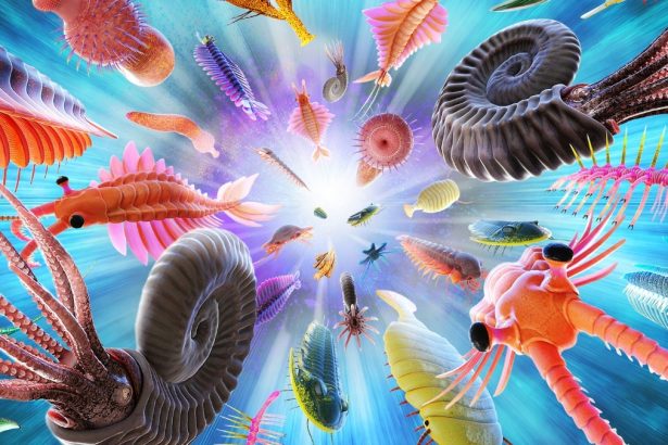 Evolution’s Clock Might Tick at Different Speeds : ScienceAlert