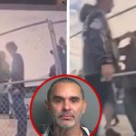 Ex-F1 Driver Antonio Pizzonia’s Alleged Assault Victim Addresses Incident