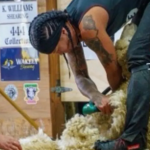 Female shearers shine in South Otago
