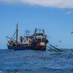First treaty to protect the high seas comes into force