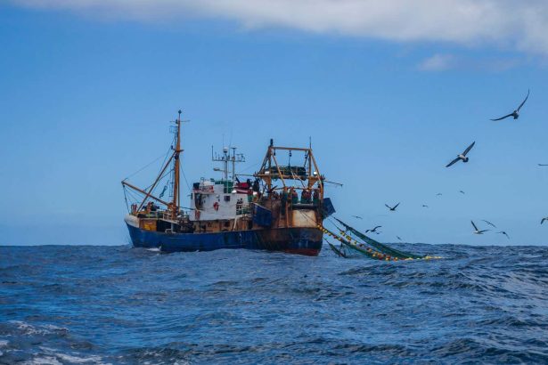 First treaty to protect the high seas comes into force