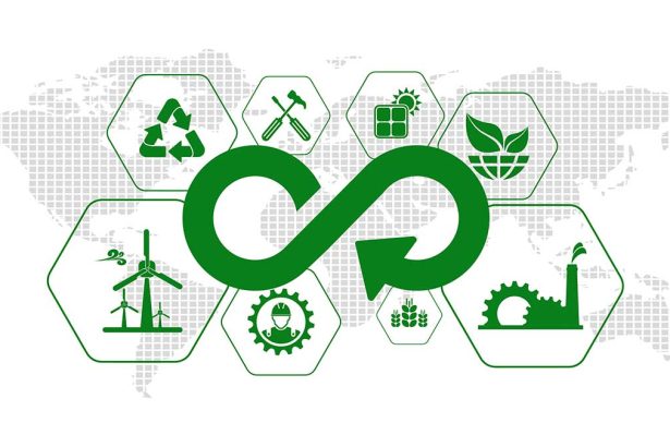 Five Consumer Goods Companies Proving Circular Business Models Work