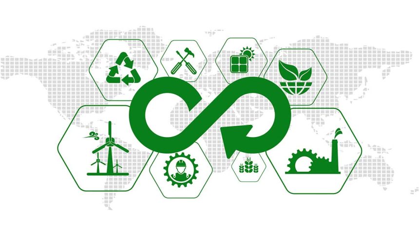 Five Consumer Goods Companies Proving Circular Business Models Work