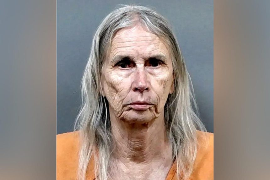 Florida woman, 81, arrested in murder-for-hire plot after sharing plan with undercover detective, sheriff says