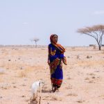 ‘Focus on the richest polluters’