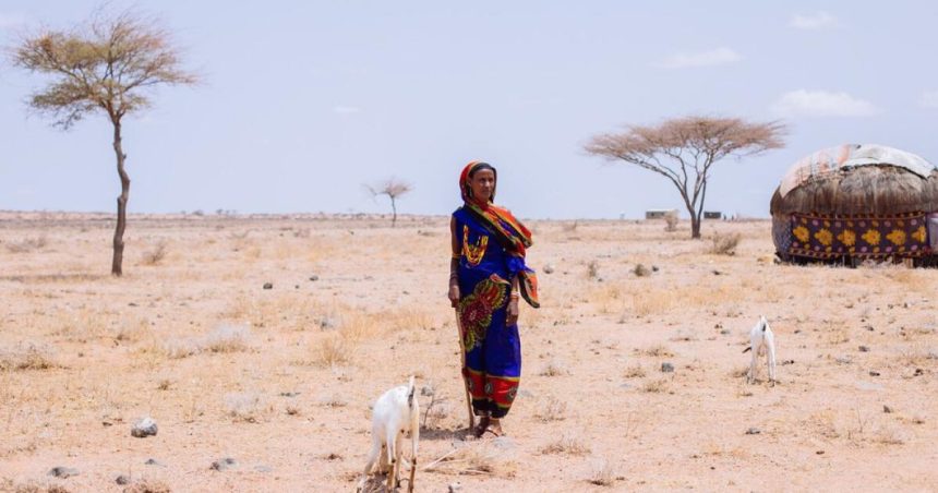 ‘Focus on the richest polluters’