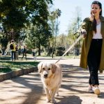 Foffy Soft Chews for Dogs Support Joint, Skin and Tummy Health