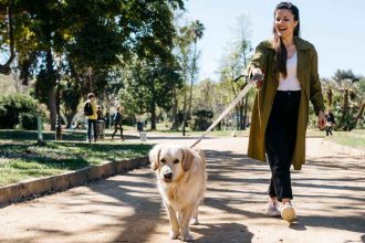 Foffy Soft Chews for Dogs Support Joint, Skin and Tummy Health