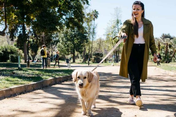 Foffy Soft Chews for Dogs Support Joint, Skin and Tummy Health