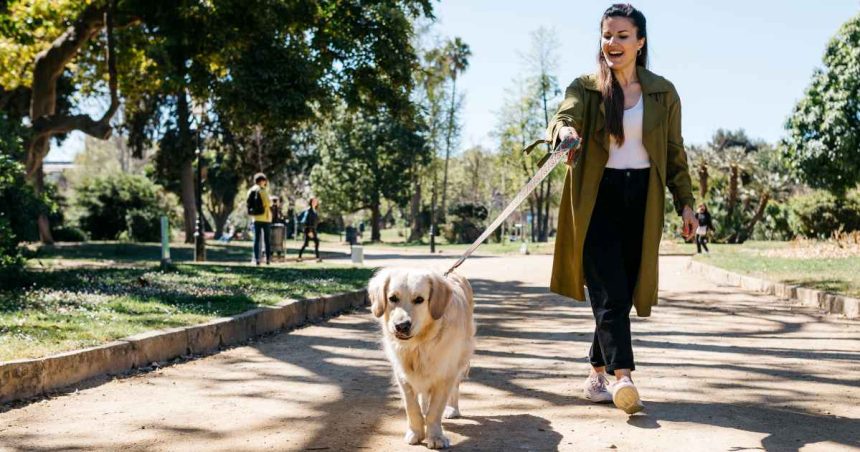 Foffy Soft Chews for Dogs Support Joint, Skin and Tummy Health