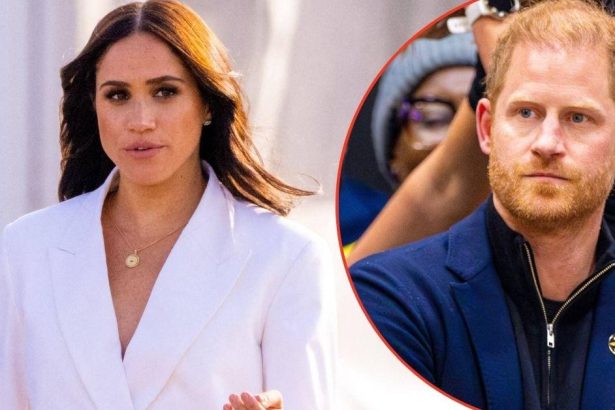 Four-Word Phrase Meghan Markle Howled At Prince Harry