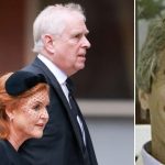 Fresh Andrew Windsor and Sarah Ferguson Epstein Cash Scandal Erupts