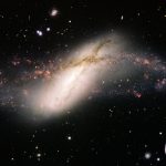 Galaxies with ‘hoop skirts’ are more common than we thought