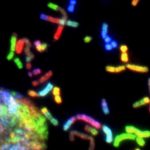 Gene therapy startup Altido Bio takes aim at glioblastoma brain tumors